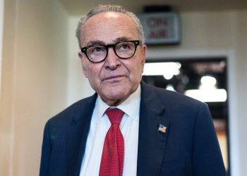 Democrats, left empty-handed in shutdown, turn fury on Schumer